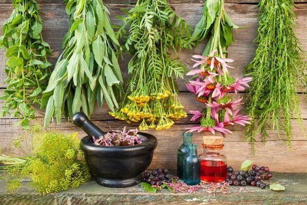 herbs for the treatment of arterial hypertension